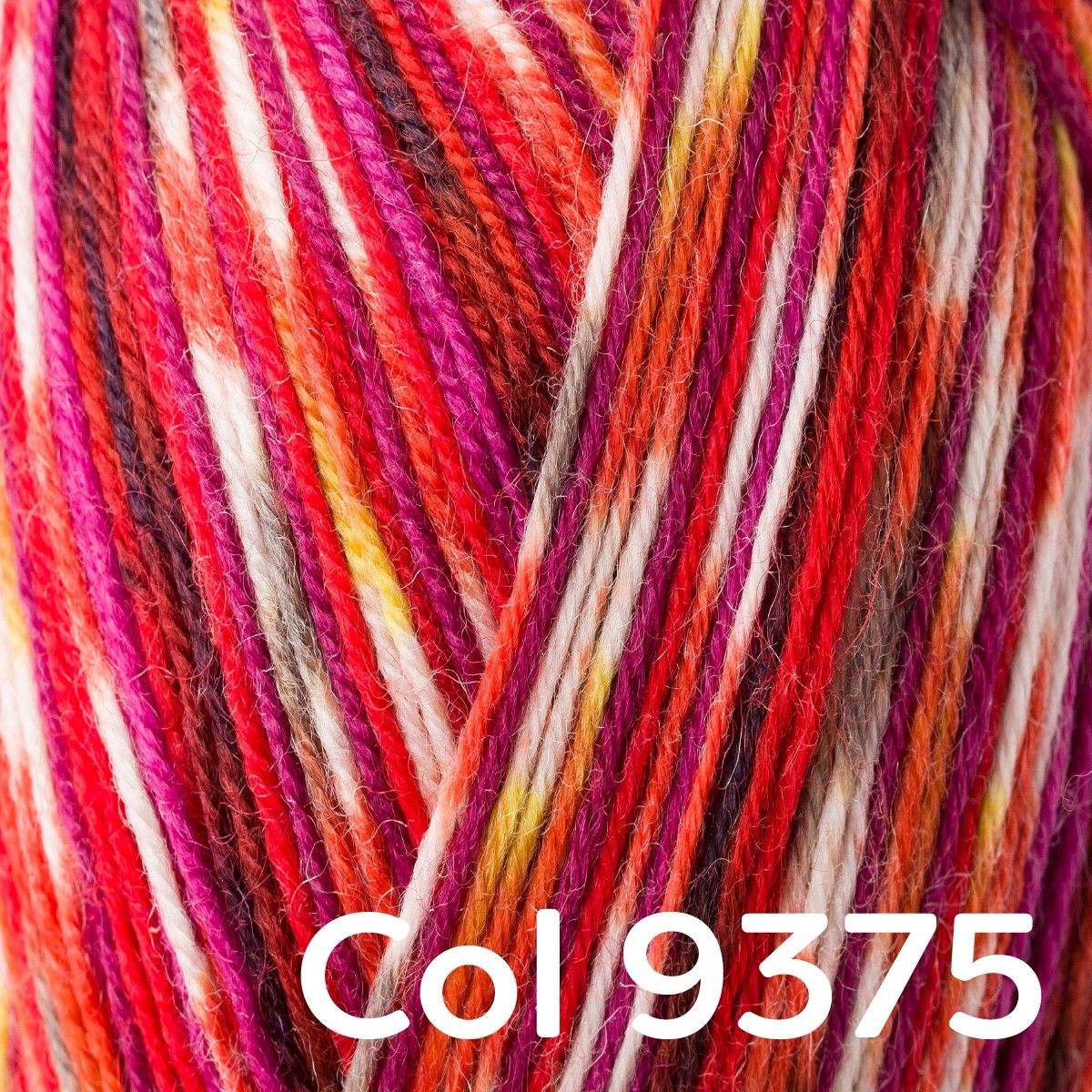 Regia 4-ply Color - Image 39